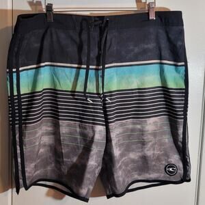O'Neill Board Shorts Mens 38 Ombre Stripe Swim Trunks Surf Beach Y2K Beach